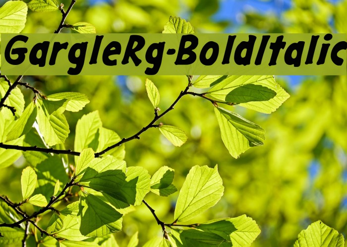 GargleRg-BoldItalic Font examples