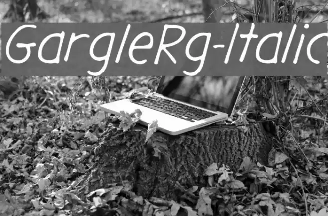 GargleRg-Italic Font examples