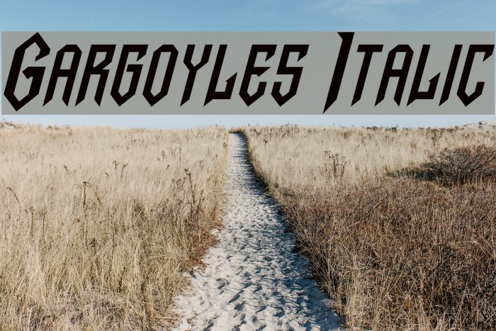 Gargoyles Italic Font examples