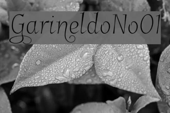 GarineldoNo01 Font examples