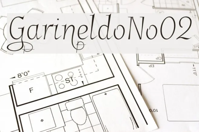 GarineldoNo02 Example 1