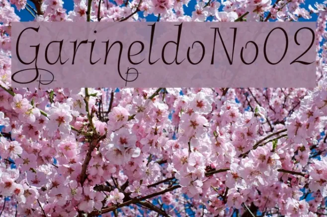 GarineldoNo02 Example 2