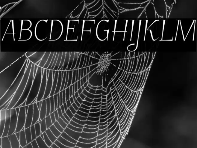 GarineldoSC Font examples