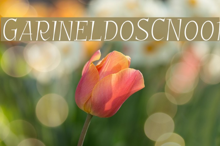 GarineldoSCNo01 Example 3