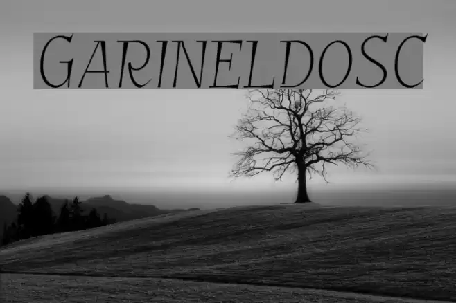 GarineldoSC Font examples