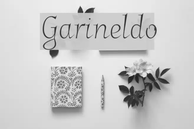 Garineldo Font examples