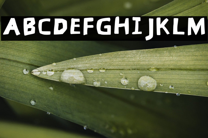 Garing Regular Example 2