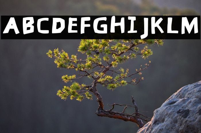 Garing Regular Example 3