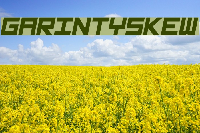 GarintySkew Font examples