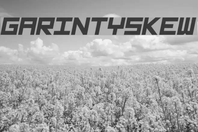 GarintySkew Schriftart examples