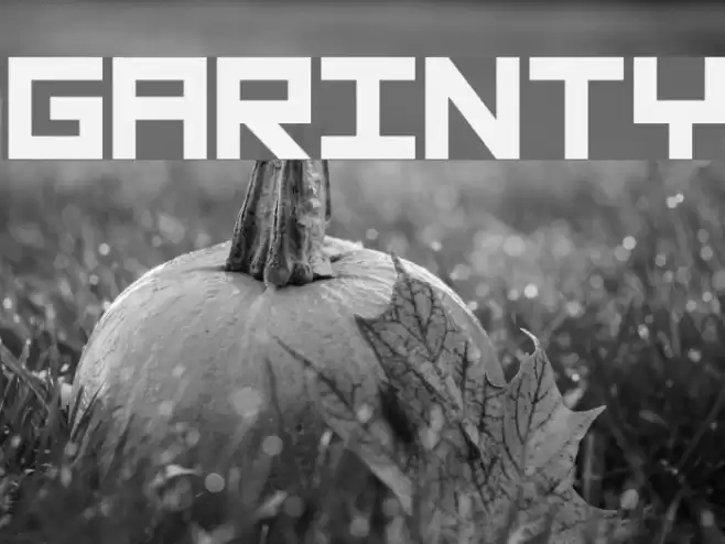 Garinty Font examples