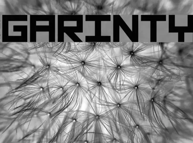 Garinty Font examples