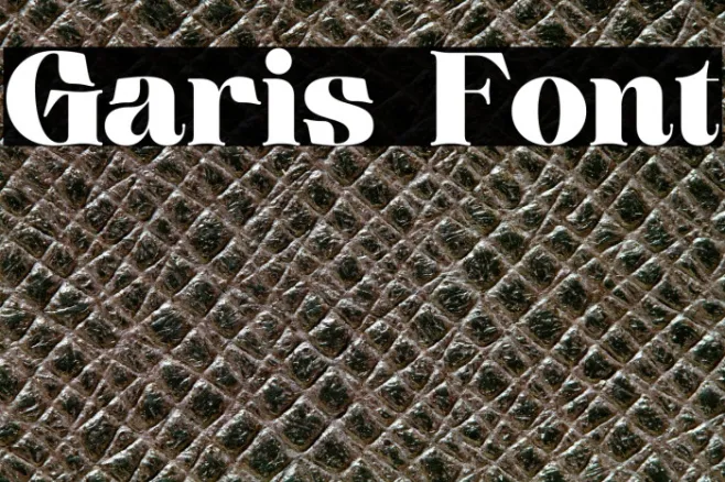 Garis Example 3