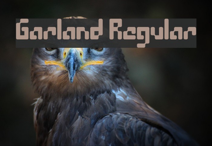 Garland Regular Font examples