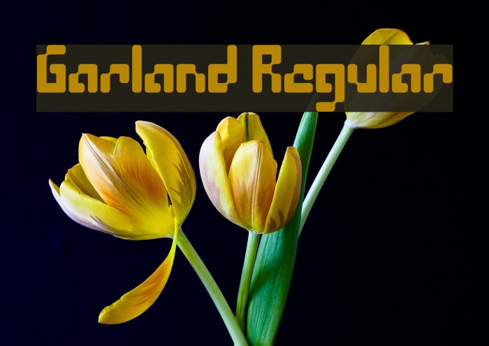 Garland Regular Font examples