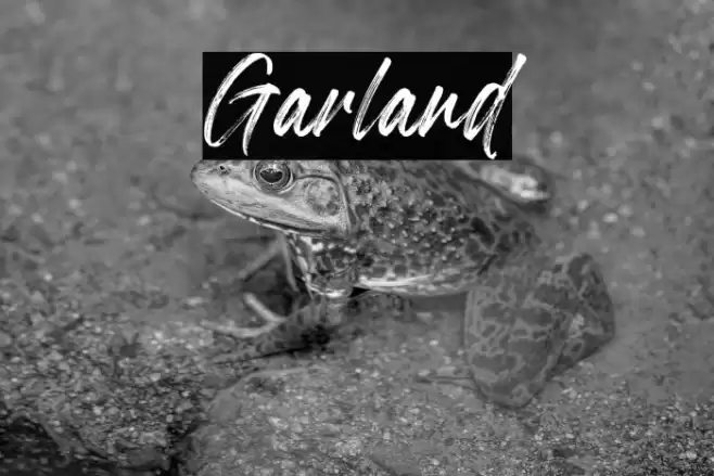 Garland Font examples