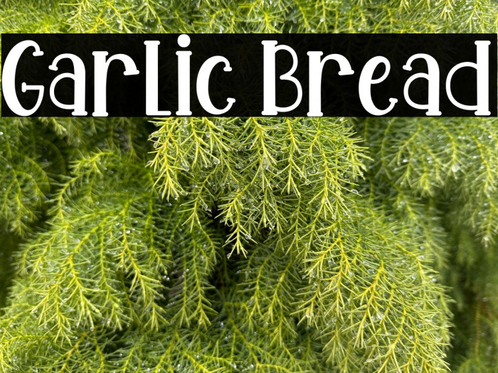 Garlic Bread Example 3