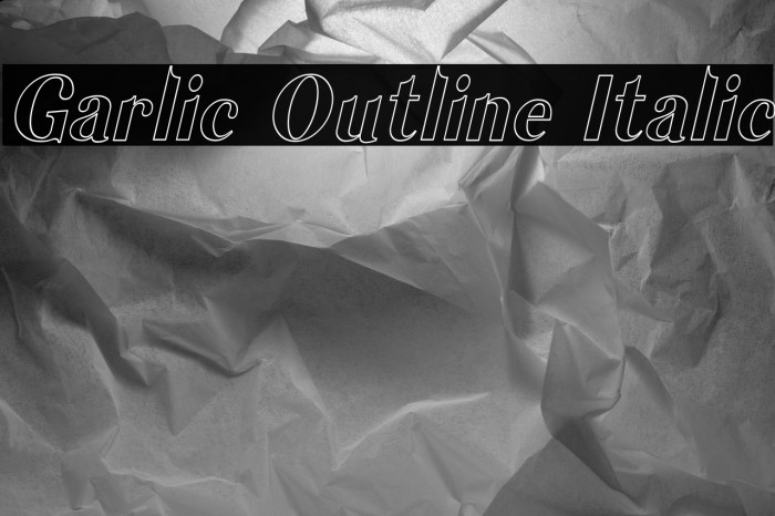 Garlic Outline Italic Example 2