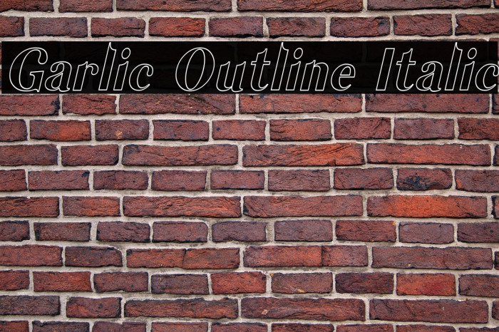 Garlic Outline Italic Example 3