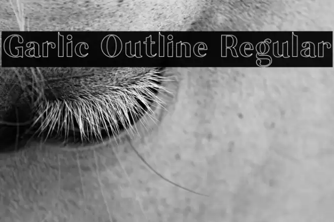 Garlic Outline Regular Font examples