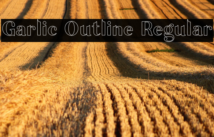 Garlic Outline Regular Example 2