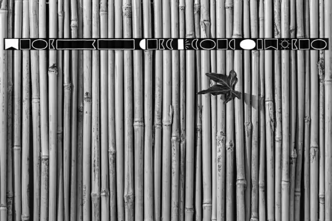 Garlic Salt Extras Regular Font examples