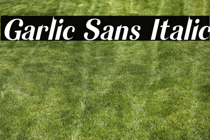 Garlic Sans Italic Example 1