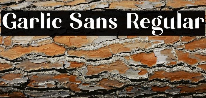 Garlic Sans Regular Example 1