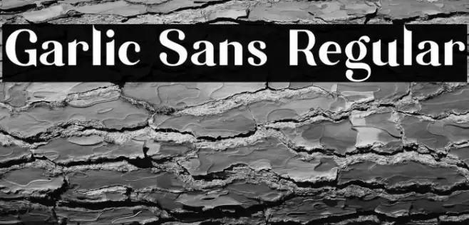 Garlic Sans Regular Font examples