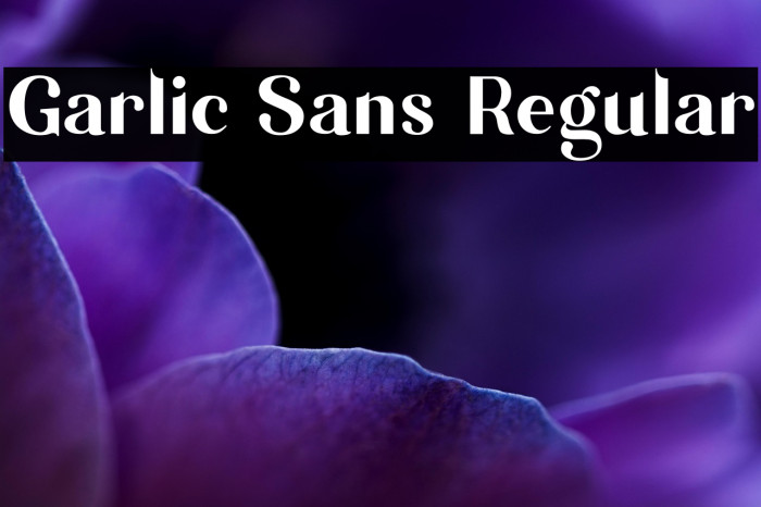 Garlic Sans Regular Example 2