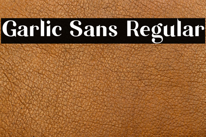 Garlic Sans Regular Example 3