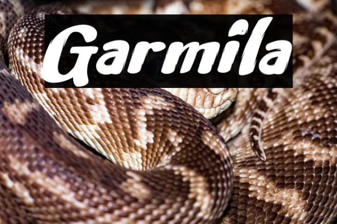Garmila Example 1