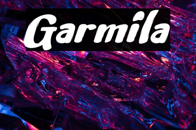 Garmila Example 2