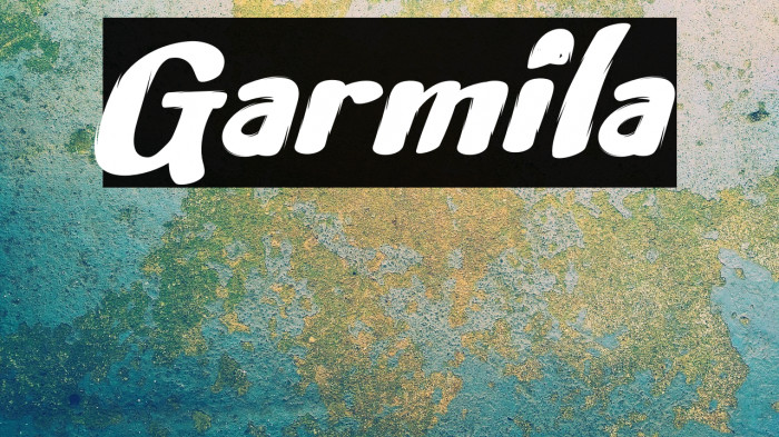 Garmila Example 3