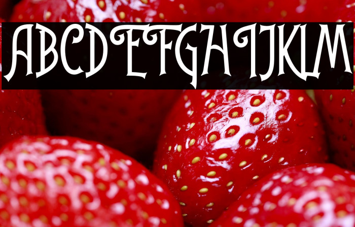 GarmouthDisplayDEMO Example 3