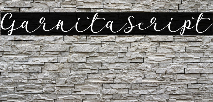 GarnitaScript Example 1