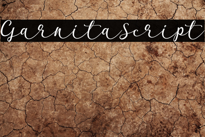 GarnitaScript Example 2