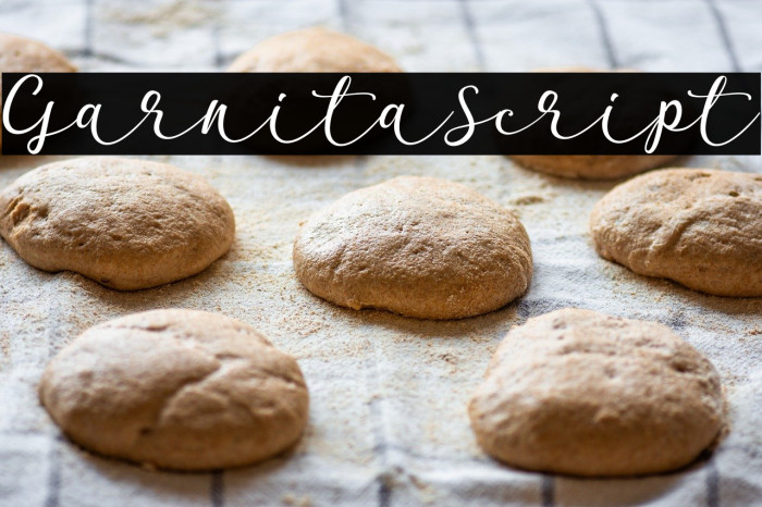 GarnitaScript Example 3