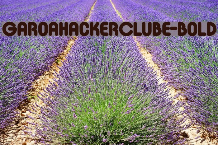 GaroaHackerClube-Bold Font examples