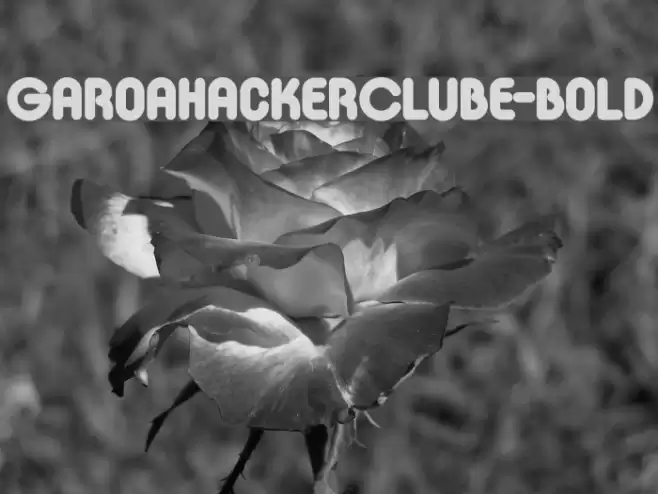 GaroaHackerClube-Bold Font examples