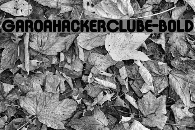 GaroaHackerClube-Bold Font examples