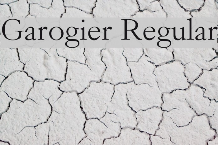 Garogier Regular Font examples