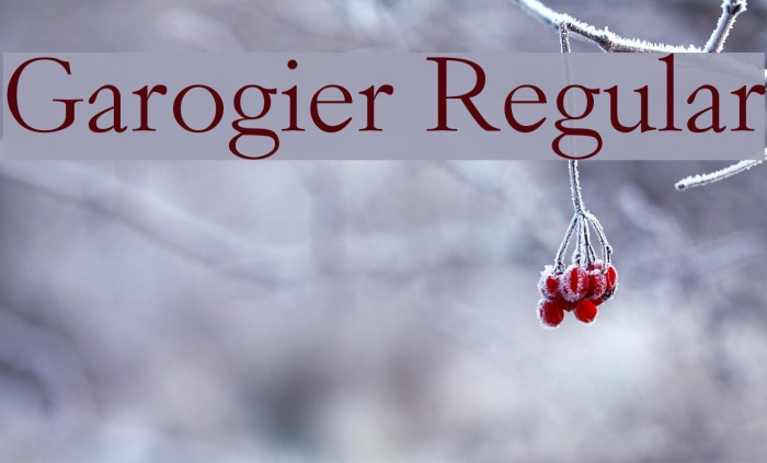 Garogier Regular Font examples