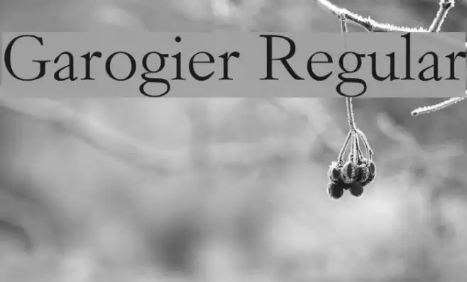 Garogier Regular Font examples
