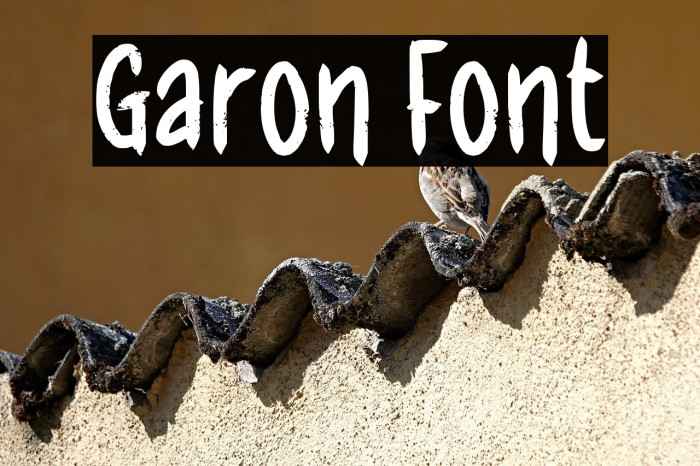 Garon Example 1