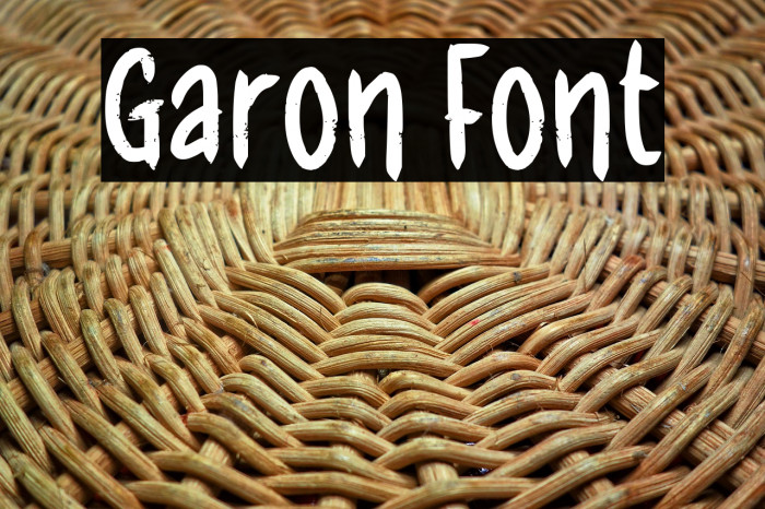 Garon Example 2