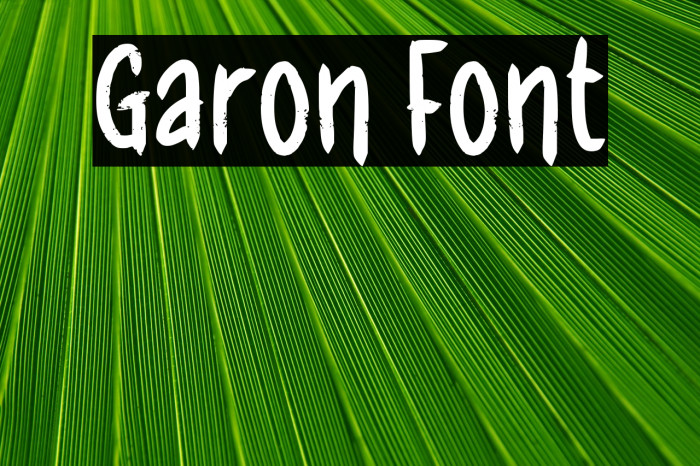 Garon Example 3