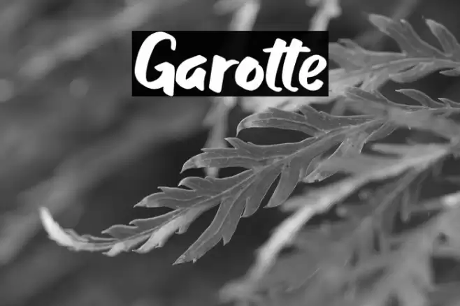 Garotte Font examples