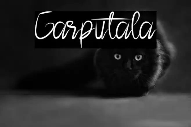 Garputala Font examples