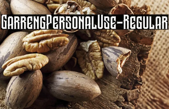 GarrengPersonalUse-Regular Example 1